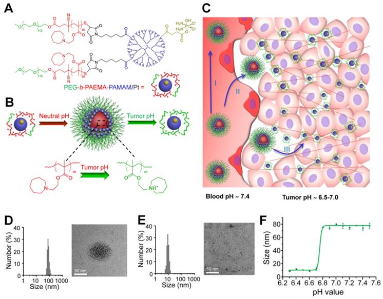 Endogenous pH-responsive nanoparticles with programmable size changes