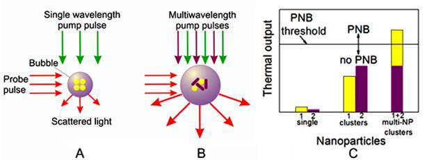 Theranostics Image