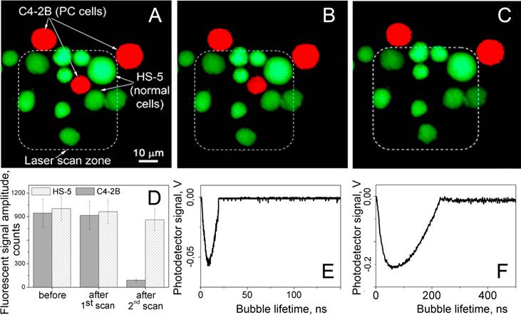 Theranostics Image