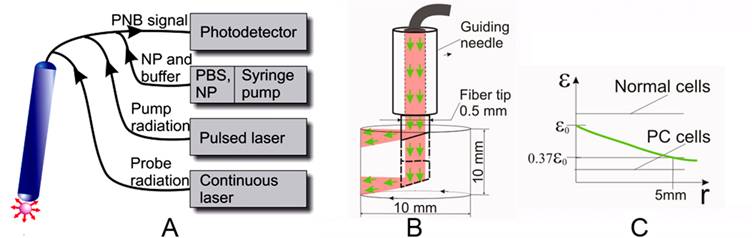 Theranostics Image