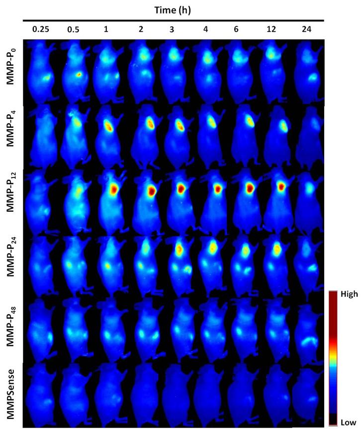 Theranostics Image