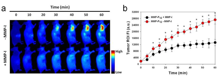 Theranostics Image