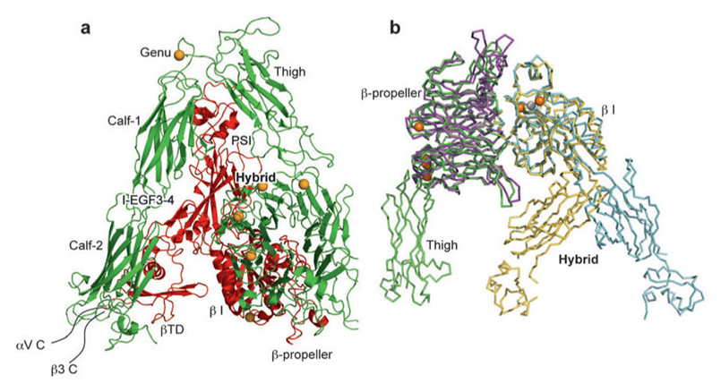 Theranostics Image