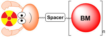 Theranostics Image