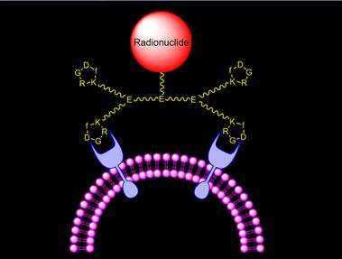 Theranostics Image