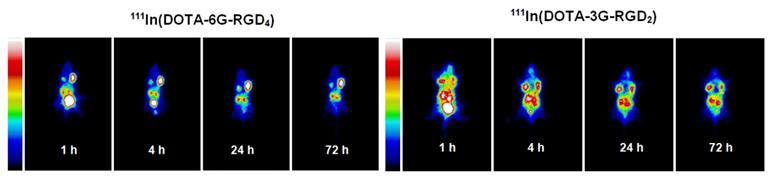 Theranostics Image