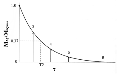 Theranostics Image