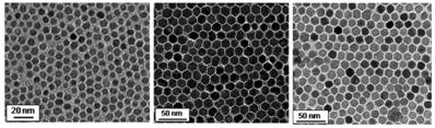 Theranostics Image