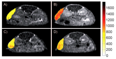 Theranostics Image