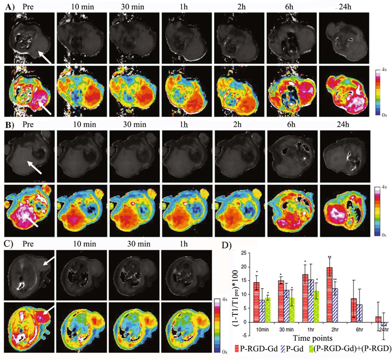 Theranostics Image