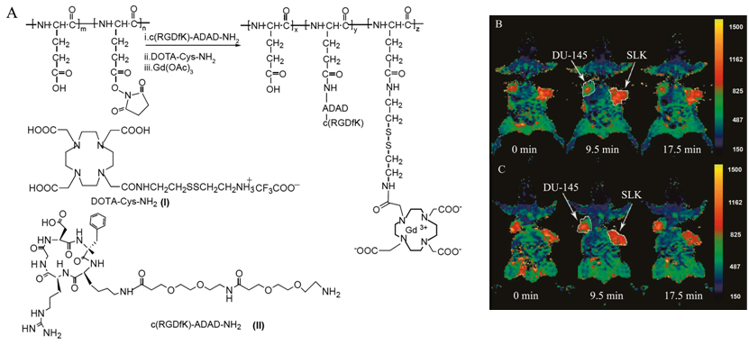 Theranostics Image