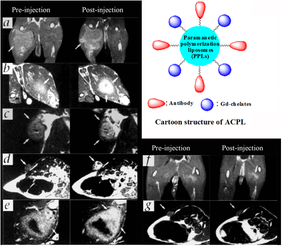 Theranostics Image