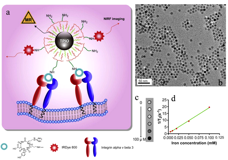 Theranostics Image