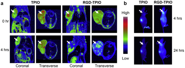 Theranostics Image