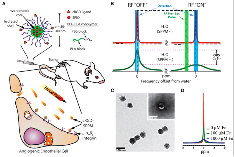 Theranostics Image