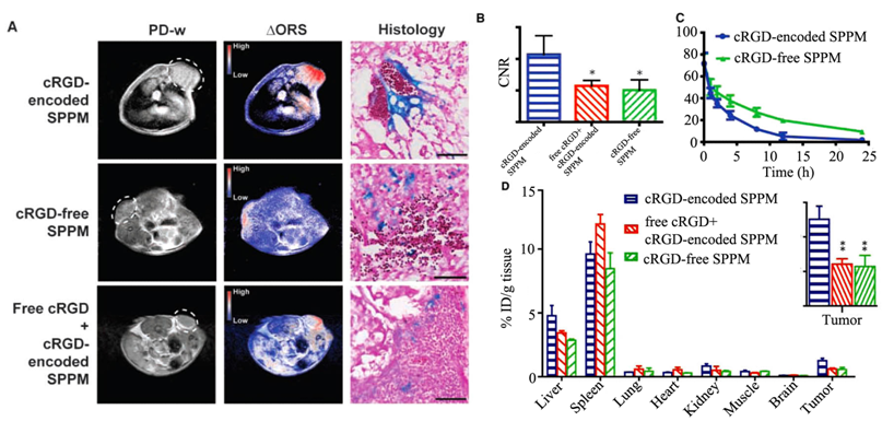 Theranostics Image