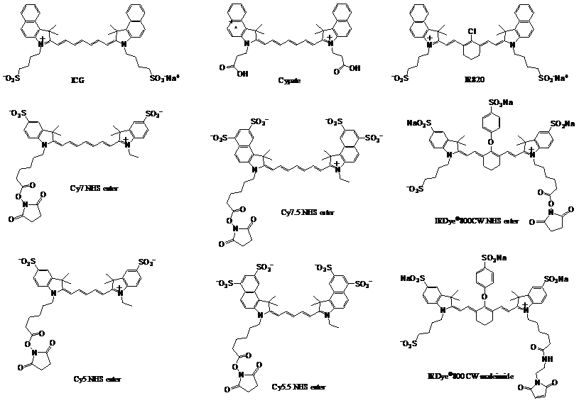 Theranostics Image