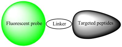 Theranostics Image