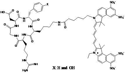 Theranostics Image