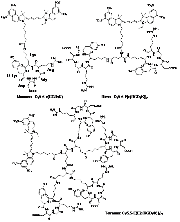 Theranostics Image