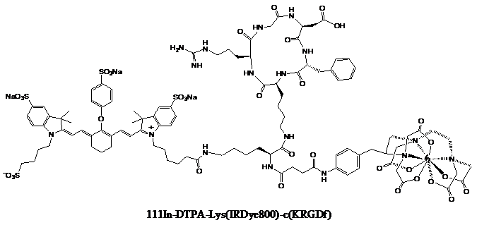 Theranostics Image