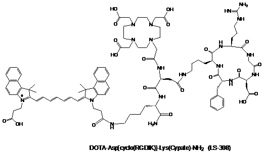 Theranostics Image