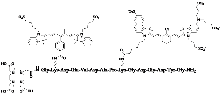 Theranostics Image