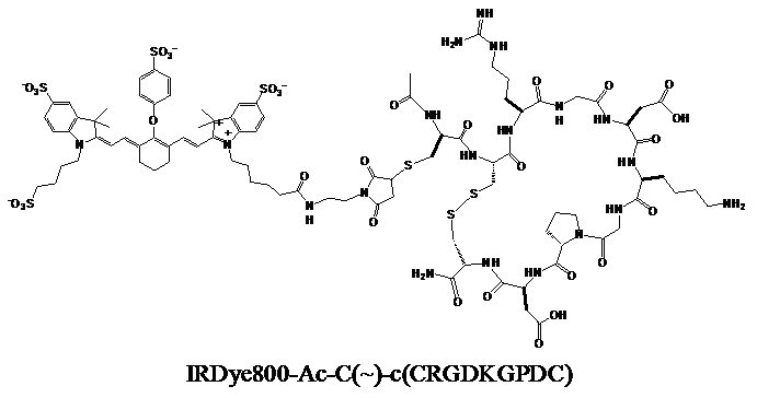 Theranostics Image