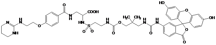 Theranostics Image