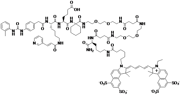 Theranostics Image