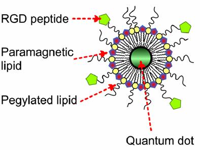 Theranostics Image