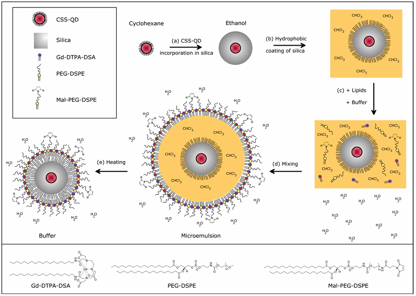 Theranostics Image