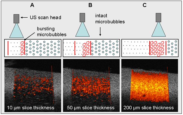 Theranostics Image