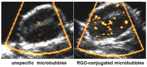 Theranostics Image