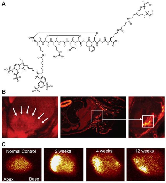 Theranostics Image