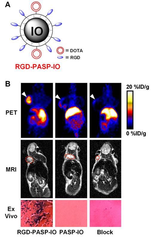 Theranostics Image