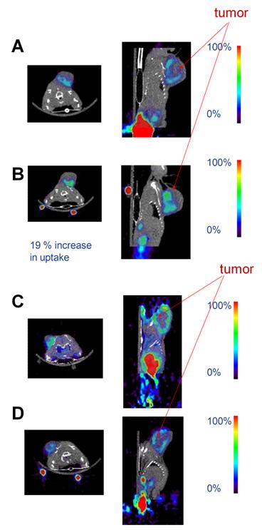 Theranostics Image