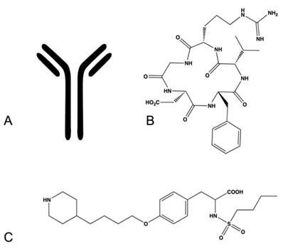 Theranostics Image