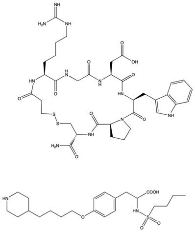 Theranostics Image