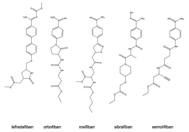 Theranostics Image