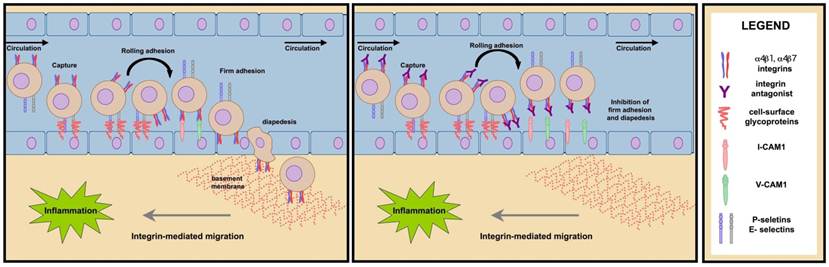 Theranostics Image