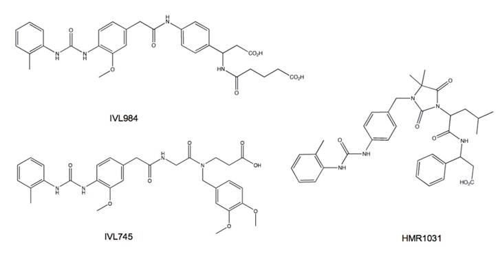 Theranostics Image