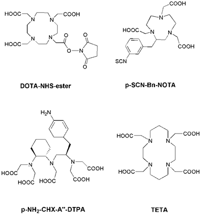 Theranostics Image