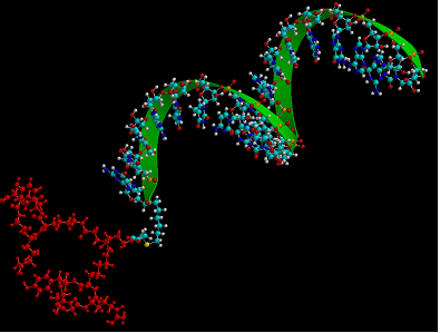 Theranostics Image