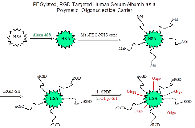 Theranostics Image