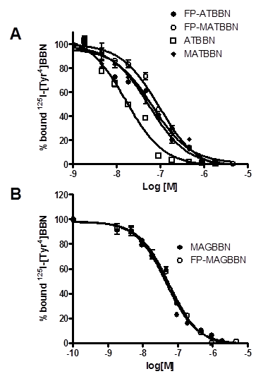 Theranostics Image