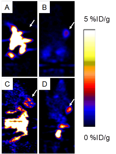 Theranostics Image