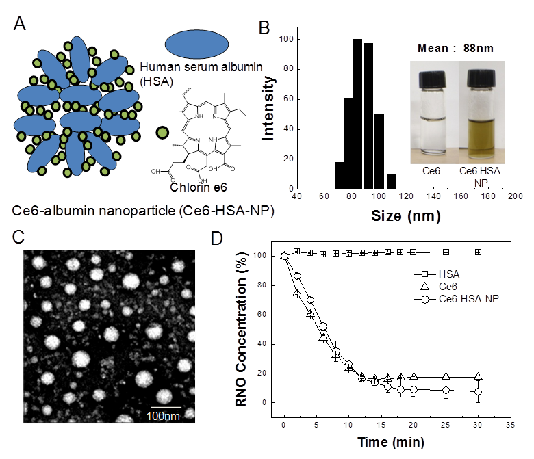 Theranostics Image