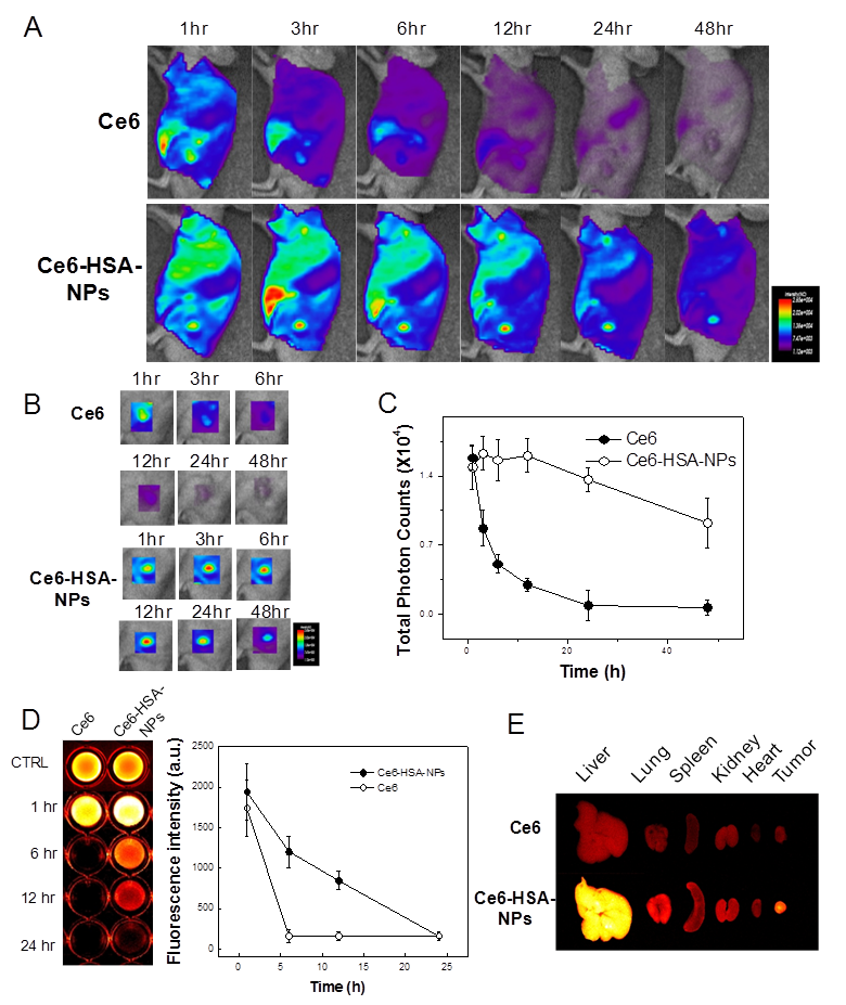 Theranostics Image