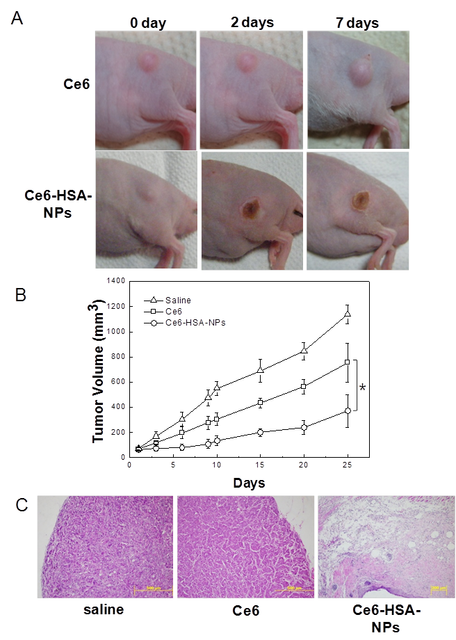 Theranostics Image